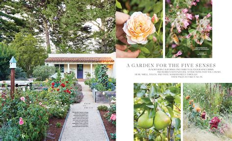 Martha Stewart Living Magazine A Garden For The Five Senses — Pine