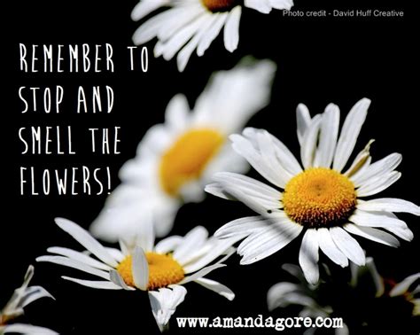 For sure, bees are here for only a short while. Remember to stop and smell the flowers | Joyful Quotes ...