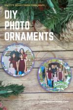 DIY Knotts Berry Farm Photo Ornament Clementine County