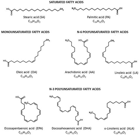Polyunsaturated Fatty Acids
