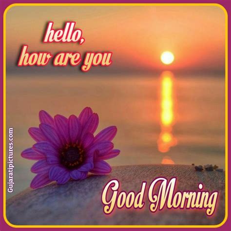 Incredible Collection Of Full 4k Hello Good Morning Images Top 999
