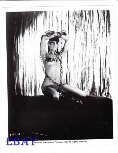 Busty Babe In Chains Vintage Photo Trans Europ Express Nudes Ebay