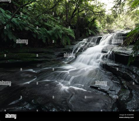 Lush Flowing Water High Resolution Stock Photography And Images Alamy