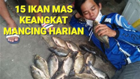 We did not find results for: Mancing ikan mas pakai umpan putih,hasilnya luar biasa ...