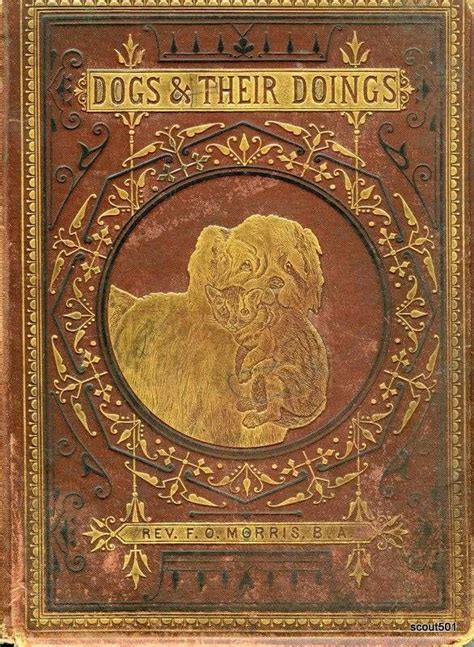 Antique Book 1872 Edition Dogs And And Their Doings Rev F O Morris