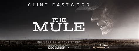 The truth is that most. 13 most handsome actors in 'The Mule' - CONAN Daily