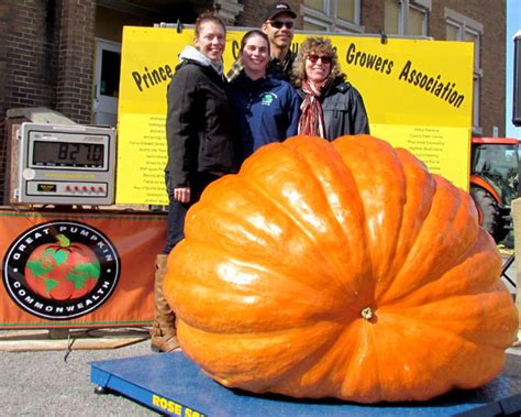 Welcome To Pumpkinfest Prince Edward County News Countyliveca