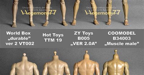 Sixth Scale Collectible Male Muscular Figure Body And Skin Color Tone