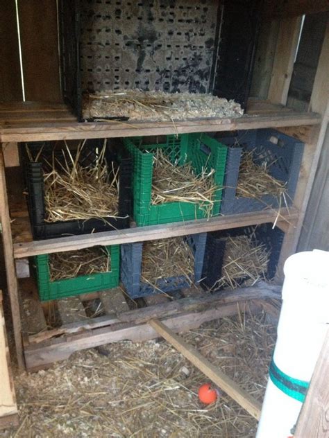 Chicken Nesting Box Ideas The Owner Builder Network Chicken Shed