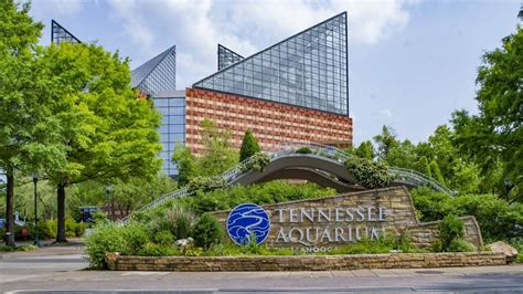 Gsca International Conference 2022 Takes Place At Tennessee Aquarium