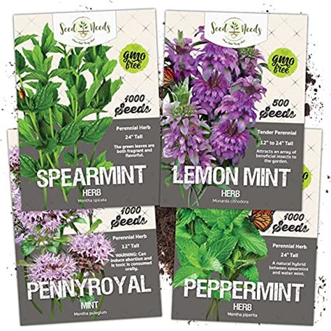 Seed Needs Mint Seed Packet Collection 4 Individual Varieties Of Mint