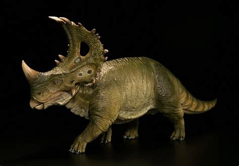 Sinoceratops Cub By Pnso Dans Dinosaurs