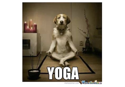 9 International Yoga Day Memes That Sum Up Yoga Class Perfectly
