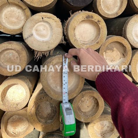 Jual Bambu Steger 10 12 Cm X 63 M Jakarta Utara Ud Cahaya
