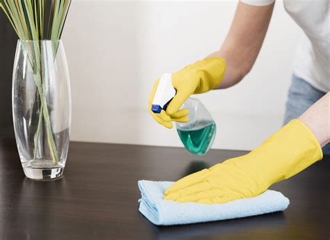 Guía De Limpieza Del Hogar Cómo Desinfectar Y Eliminar Los Gérmenes