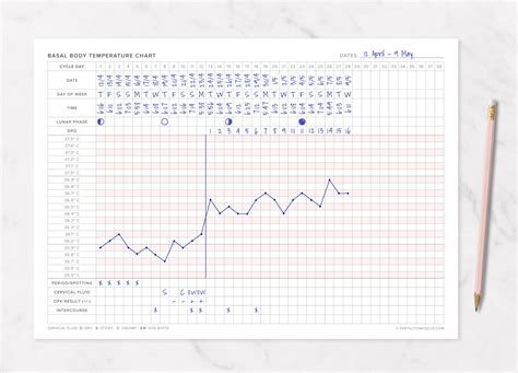 Basal Body Temperature Bbt Chart Printable A4 Sizecelsius Etsy