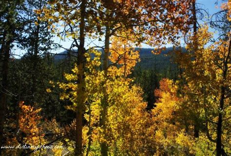 The Best Of Utah Fall Colors Along The Mirror Lake Highway Dirt In