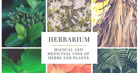 Flying the Hedge: Herbarium