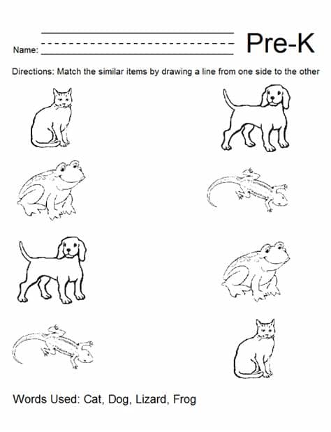 6 Best Images of Pre-K Worksheets Packets Printable - Free ...