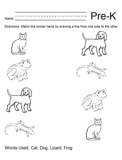 10 Best PreK Worksheets Packets Printable  printablee.com