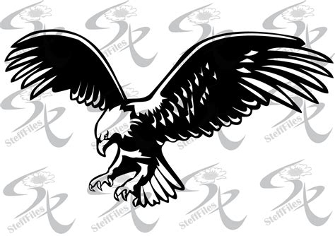 Eagle Bird Svg Dxf Silhouette Of Flying Eagle Svg Ai Png Etsy Australia