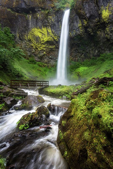 Elowah Falls Photograph By Alex Mironyuk Fine Art America