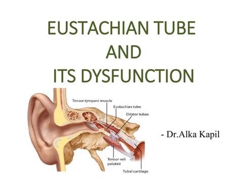 Eustachian Tube Ppt