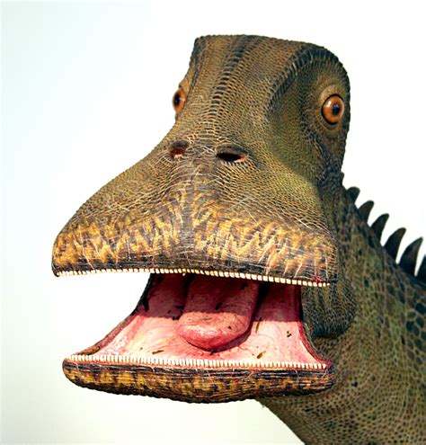 A Dinosaur A Day · Is There A Dinosaur That You Consider The Ugliest