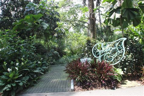 Built in 1859, the expansive gardens offer something for everyone, from enthusiastic botanists to guests simply looking for a relaxing stroll. Singapore Botanic Gardens - Opening Hours & Entrance Map