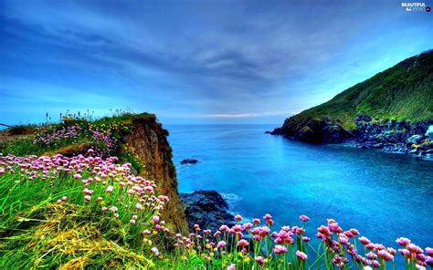 Flowers Sea Coast Beautiful Views Wallpapers 1920x1200