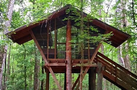 Tree House Camping Near Jacksonville At Camp Chowenwaw