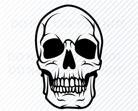 Skull Vector At Collection Of Skull Vector Free For Personal Use