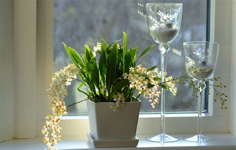 Wallpaper Flowers Window Sill Orchids Candlesticks