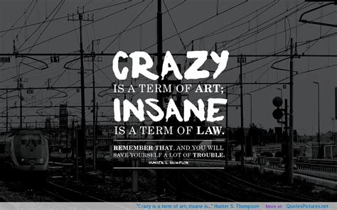 Funny Crazy Insane Quotes Quotesgram