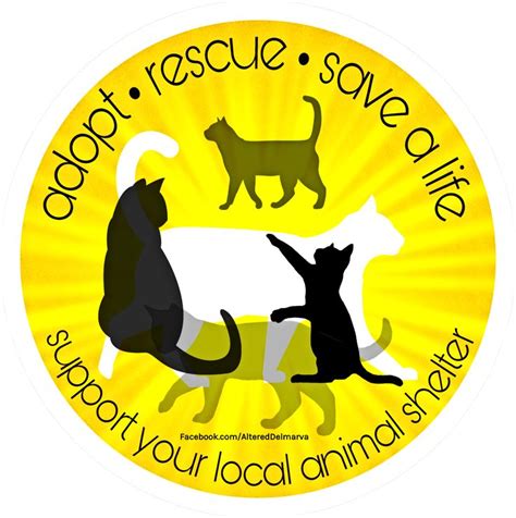 See salaries, compare reviews, easily apply, and get hired. Cat collage yellow transparent clip art with the wording ...