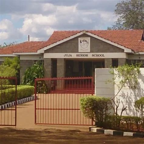 Top 10 Best Private Primary Schools Along Thika Road Kenyanest