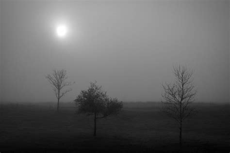 Sun Shining Through The Fog Gerryl Flickr