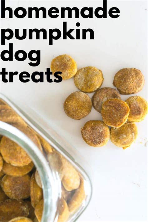 Homemade Pumpkin Dog Treats · Nourish And Nestle