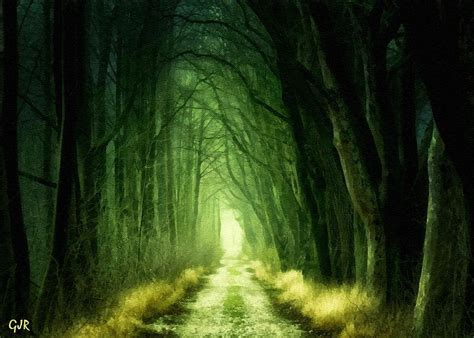Path Through The Woods At Andreahurst L A S Digital Art By Gert J