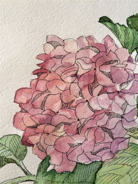 Pink Hydrangea Watercolor Painting Original For Home Decor Etsy