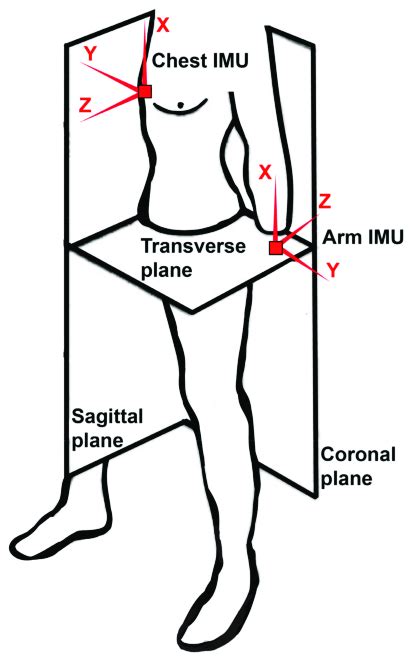 Illustration Of The Definition Of The Sagittal Coronal And Transverse