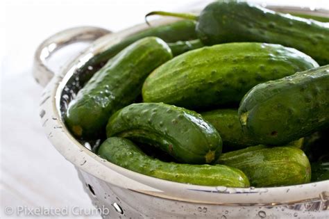 An article of food that has been preserved in brine or in vinegar specifically : Spicy, Crunchy Dill Pickles | Pixelated Crumb