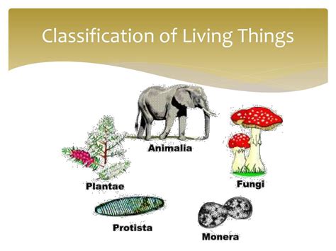 Ppt Classification Of Living Things Powerpoint Presentation Free