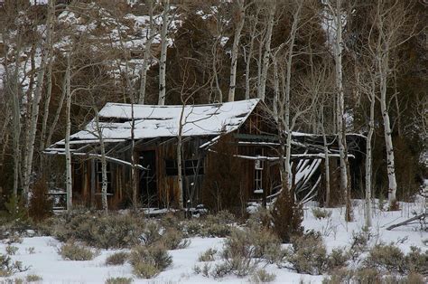 Abandoned Shack In Poudre Canyon In Winter Photograph By Cynthia Cox Cottam