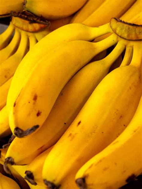 Are Bananas Going Extinct Az Animals