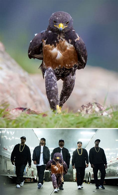 The Winners Of The Greatest Photoshop Battles Ever We'll resize both a normal image and a smart object and compare the results, and we'll learn the reason why smart objects look so much better.