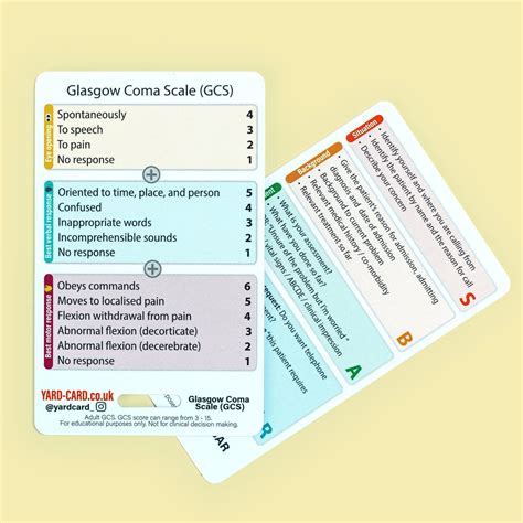Sbar And Glasgow Coma Scale Badge Card For Student Nurses Etsy Uk