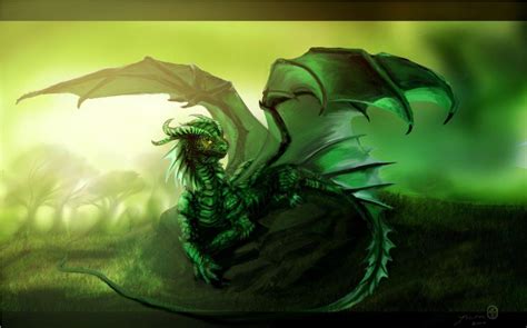 Green Dragon Wallpapers On Wallpaperdog