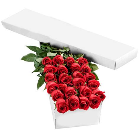 2 Dozen Premium Red Roses In A Box A3308 Flower Delivery Flower Shop