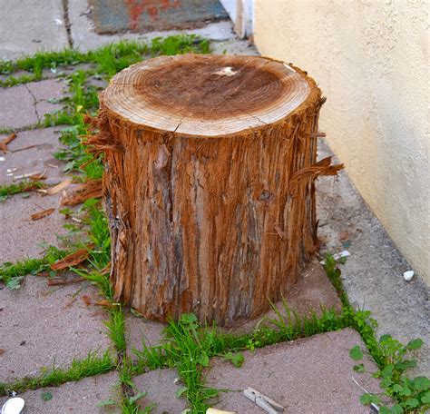 Restylerestorerejoice Diy Tree Stump Side Table
